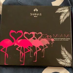 Shaina B Miami Blush & Highlight Palette